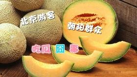 朝阳吃瓜网,揭秘娱乐圈最新热点，带你领略明星幕后故事