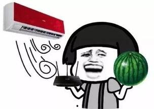 热门大瓜往期内容 c朝阳群众,热门大瓜背后的真相与内幕